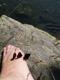 Person walking on shore