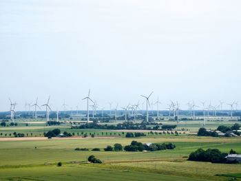 Windmills on field against sky