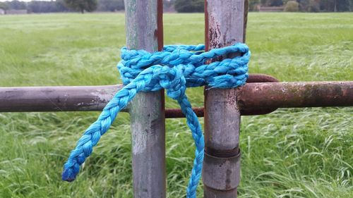 Close-up of rope tied up on grass