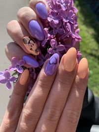 Close-up of hand holding purple flowering plant