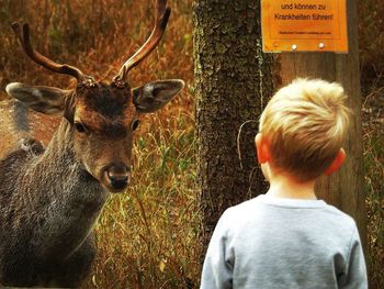 Rear view of boy looking at deer while standing in wild park