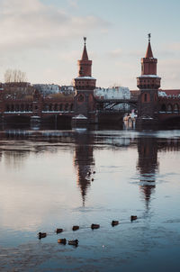 View of birds in city against cloudy sky