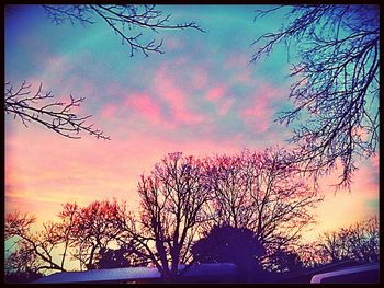 Low angle view of bare trees against sky at sunset