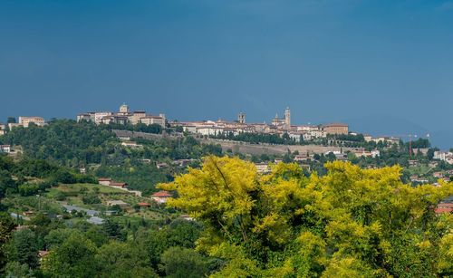 Trees and buildings against blue sky