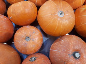 Full frame shot of pumpkins at market