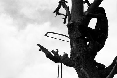 Low angle view of tree against sky