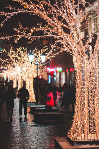 Illuminated christmas tree at night