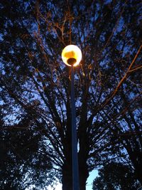 Low angle view of street light against sky