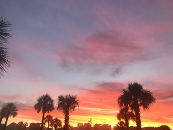 Silhouette trees against dramatic sky during sunset