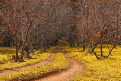 The view on the way up to doi luang chiang dao, chiang mai, thailand.