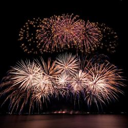 Low angle view of firework display at night