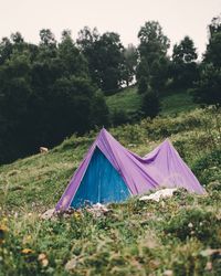 Tent on field against trees in forest