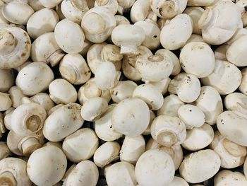 Full frame shot of white mushrooms