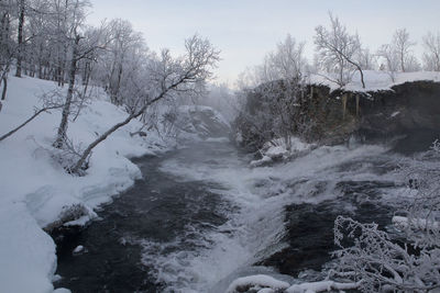 Trees by river against sky during winter