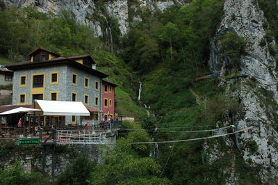 Houses in a forest