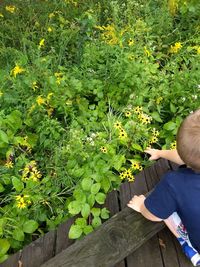 Rear view of boy holding plants