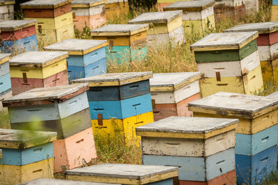 High angle view of bee on the wall
