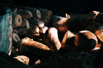Stack of firewood