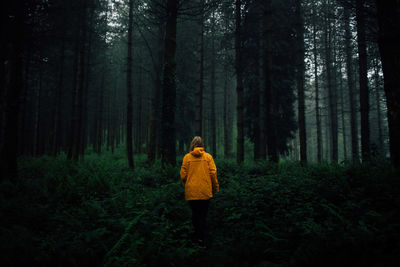 Rear view of woman walking in forest