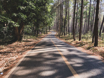 Road amidst trees in forest