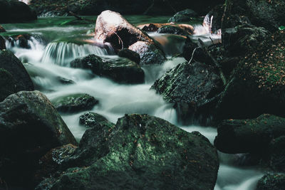 Scenic view of waterfall in forest