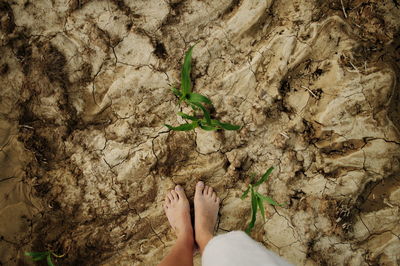 Low section of person on plant