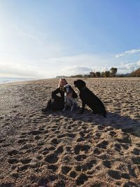 Portrait of woman sitting with dogs at beach