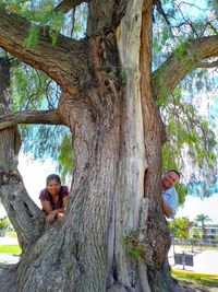 People sitting by tree trunk