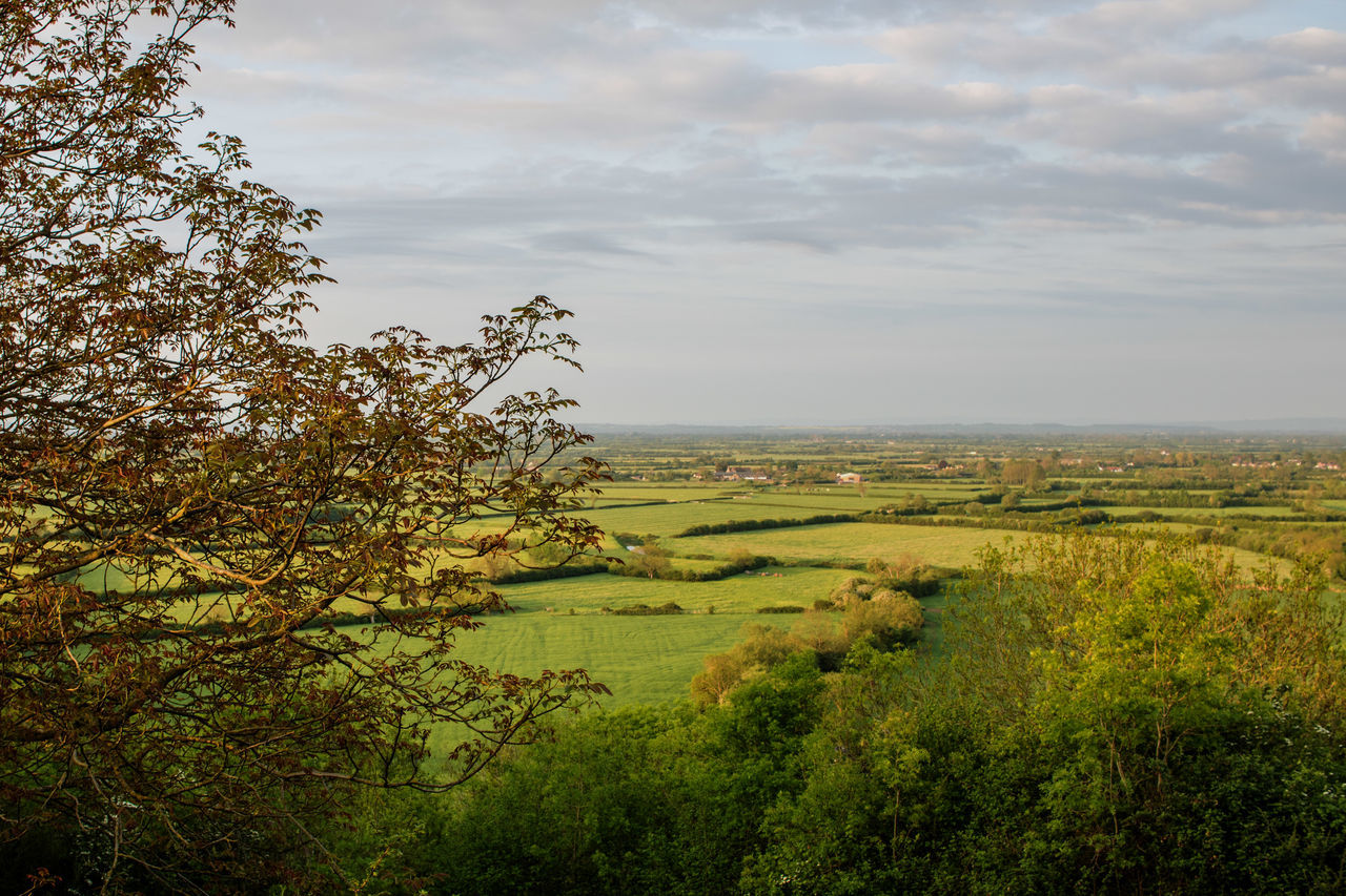 Crook peak