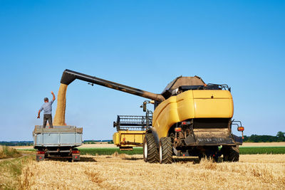 Hatvesting machine pours wheat grains into bacl of tractor, harvest season