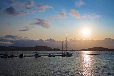 Sailboats in marina at sunset