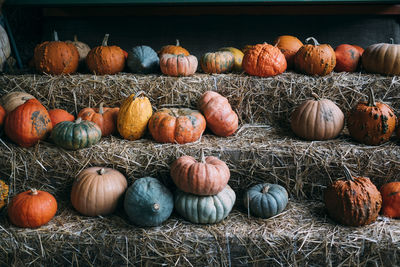 Various pumpkins on display