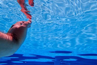 Low section of woman swimming in pool