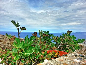 Scenic view of sea against cloudy sky