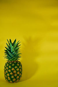 Close-up of fruit against white background