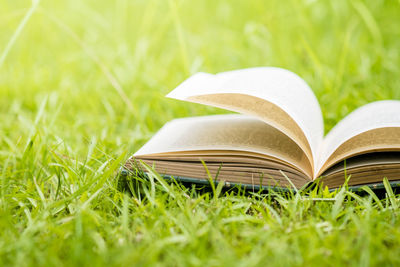 Close-up of open book on field