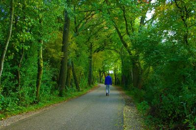Full length rear view of man walking on road amidst trees in forest