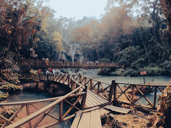 Bridge over river in forest during autumn