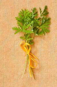 Close-up of fresh leaves on placemat