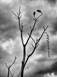 Low angle view of bare tree against cloudy sky