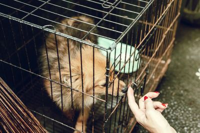 Midsection of person in cage