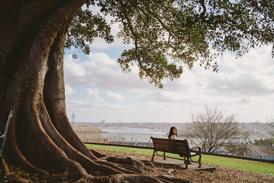 Man sitting on bench by tree against sky
