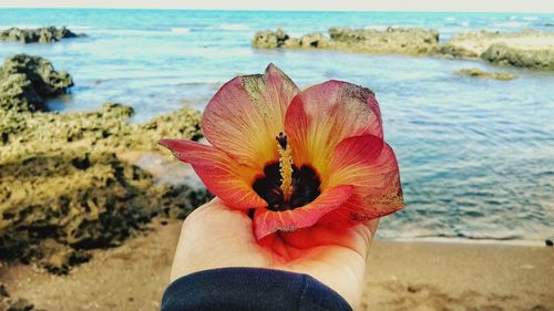 Midsection of person holding hand by sea