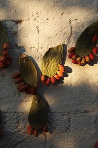 Close-up of fruits on wall