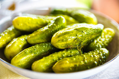 Pickled cucumbers with herbs and spices on white plate.homemade marinade cucumbers with spices