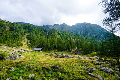 Scenic view of trees and mountains against sky