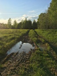 Scenic view of river amidst field against sky