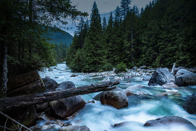 River flowing through rocks in forest