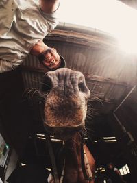 Close-up of woman standing in pond