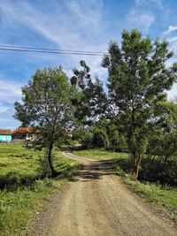 Road amidst trees on field against sky